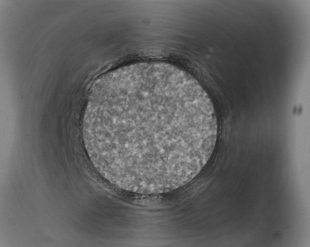 X0000114421201200911131443