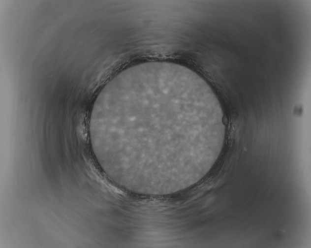 X0000114421202200911131443