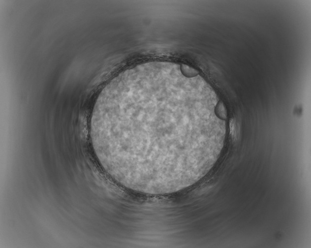 X0000114421203200911131443