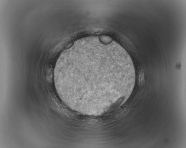 X0000114421204200911131443