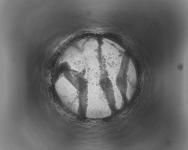 X0000114421205200911131443