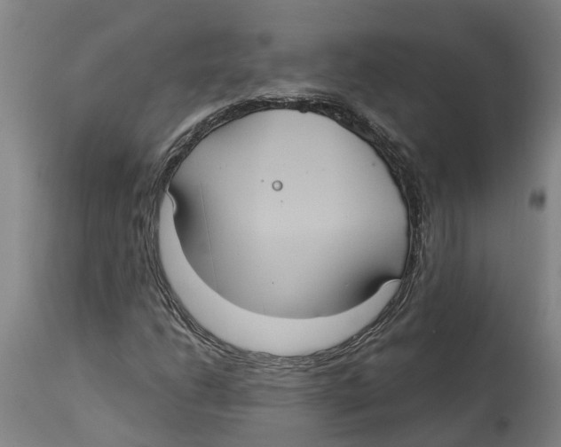 X0000114421206200911131443