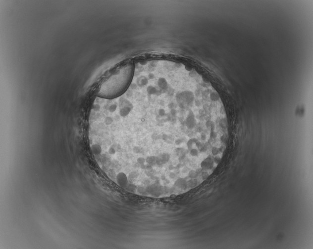 X0000114421207200911131443