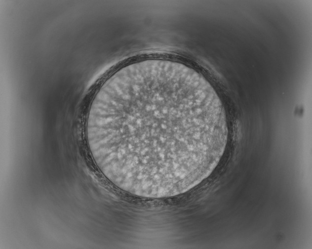 X0000114421208200911131443