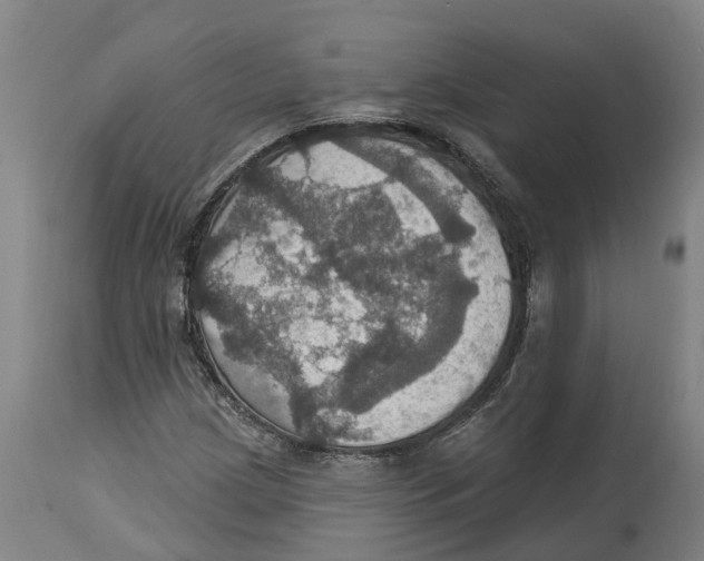 X0000114421209200911131443