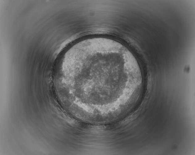 X0000114421210200911131443