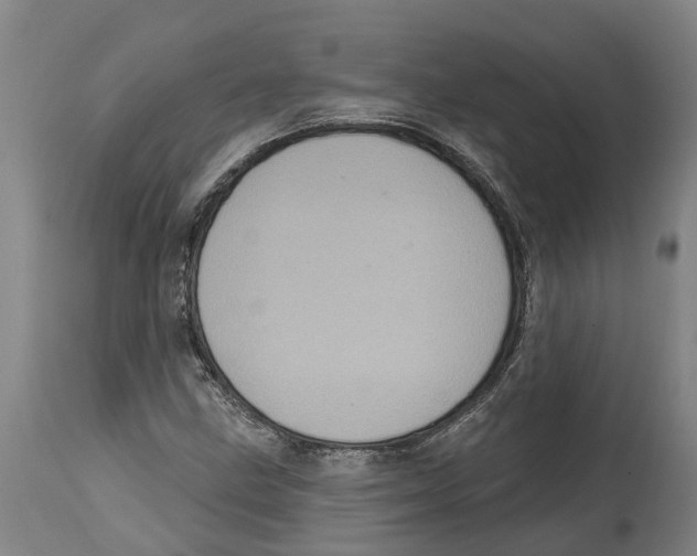 X0000114421211200911131443