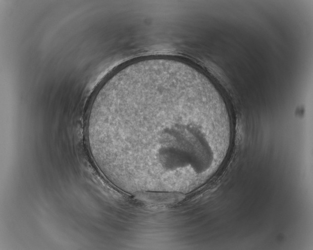 X0000114421212200911131443