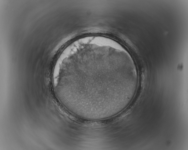 X0000114421213200911131443