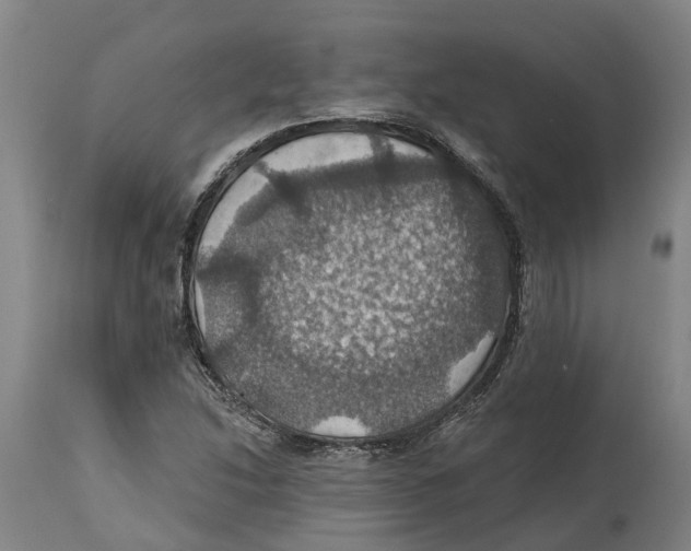 X0000114421214200911131443