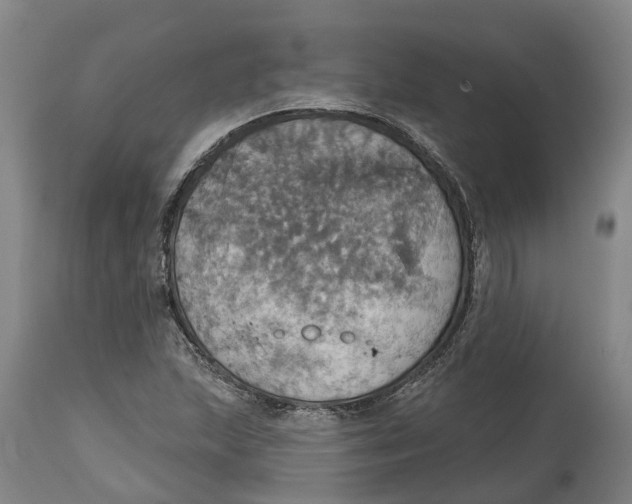 X0000114421215200911131443