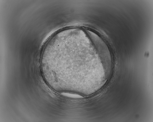 X0000114421216200911131443