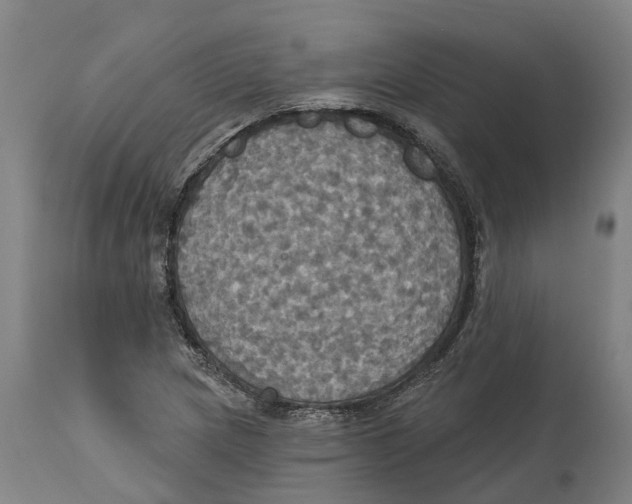 X0000114421217200911131443