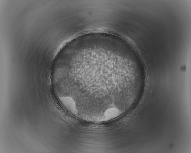 X0000114421218200911131443