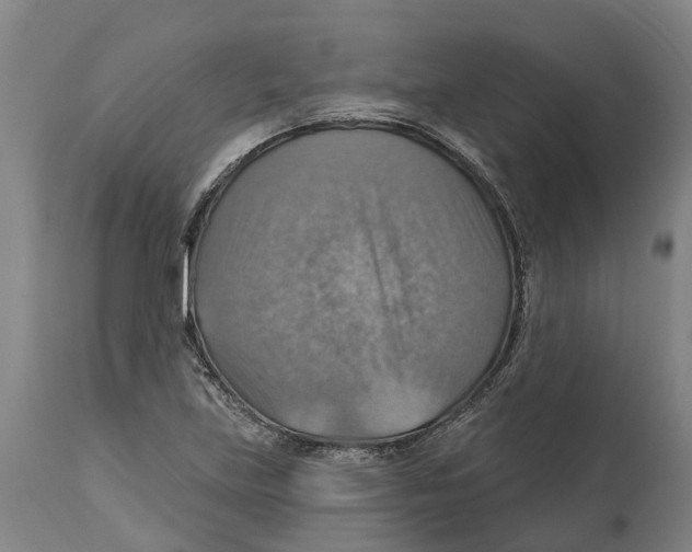 X0000114421219200911131443