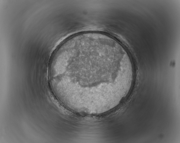 X0000114421220200911131443