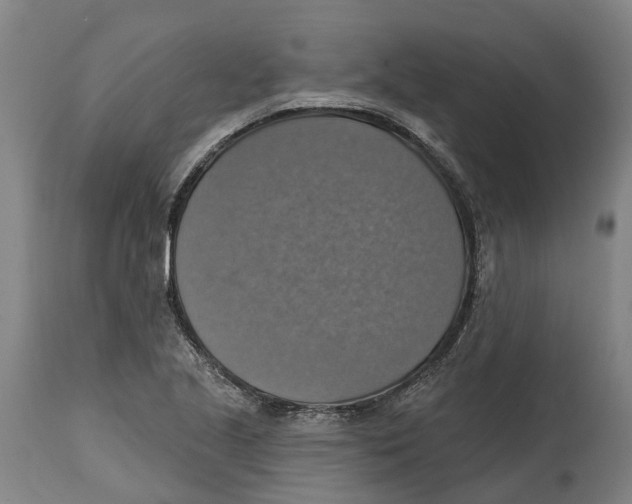 X0000114421221200911131443