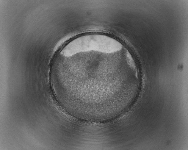 X0000114421222200911131443