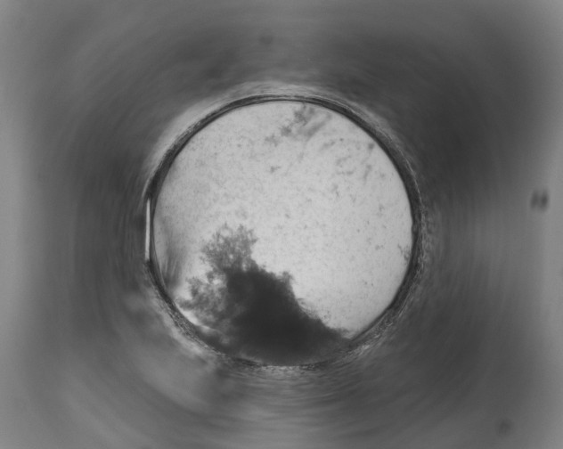 X0000114421223200911131444