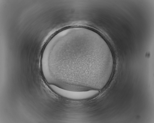 X0000114421224200911131444