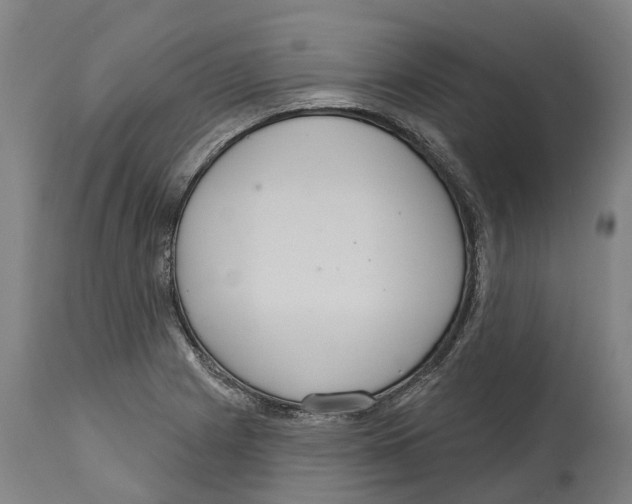 X0000114421225200911131444