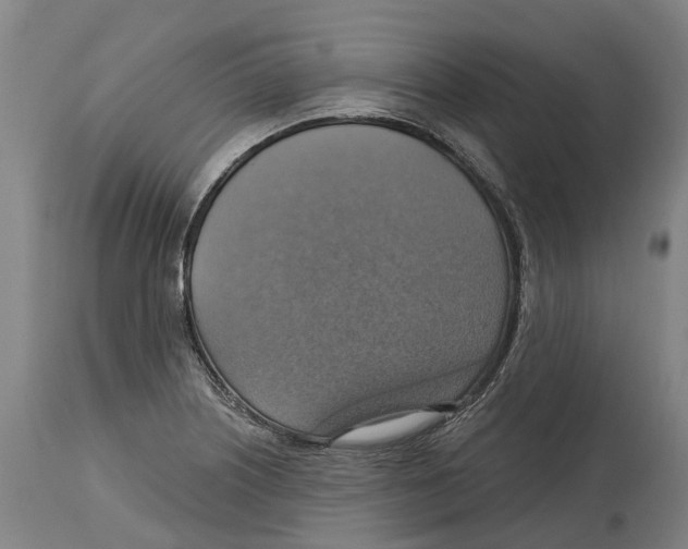 X0000114421226200911131444