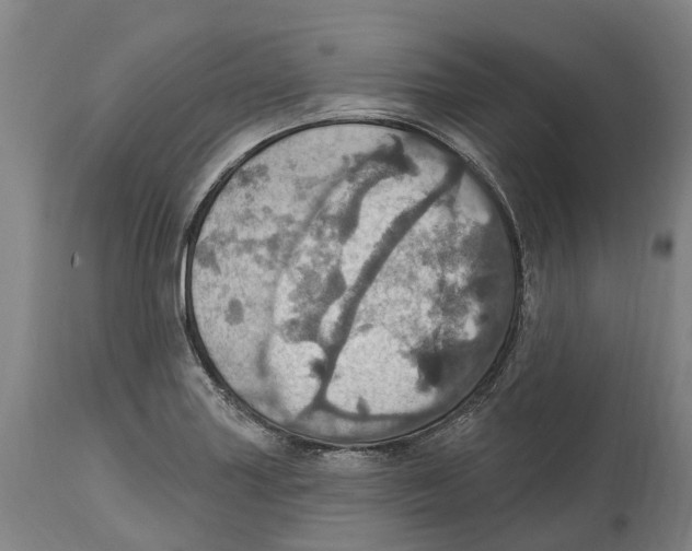 X0000114421227200911131444