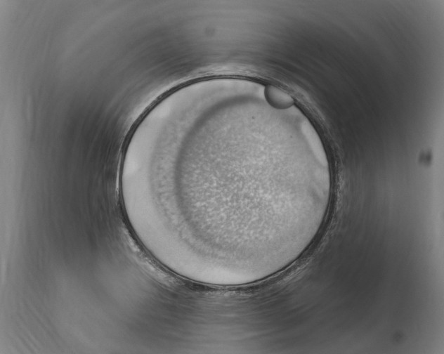 X0000114421228200911131444