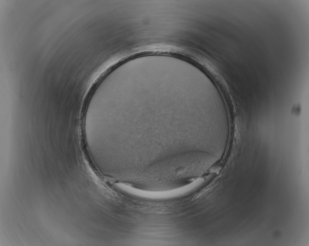 X0000114421229200911131444