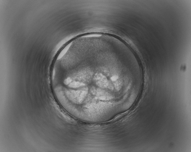 X0000114421230200911131444