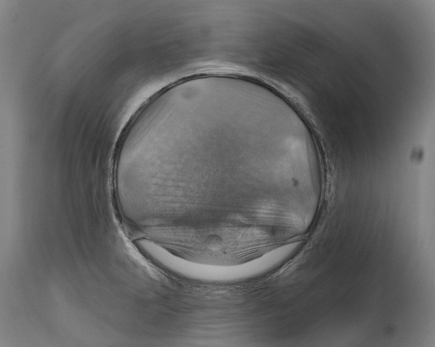 X0000114421231200911131444