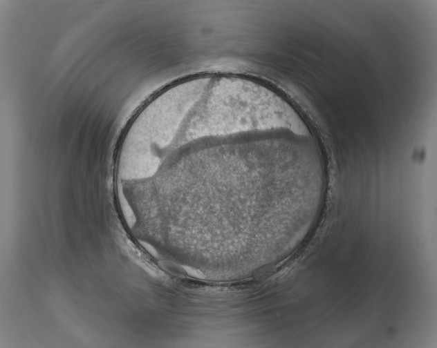 X0000114421232200911131444