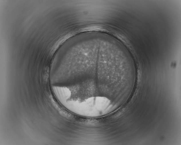 X0000114421233200911131444