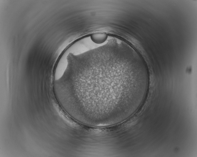 X0000114421234200911131444