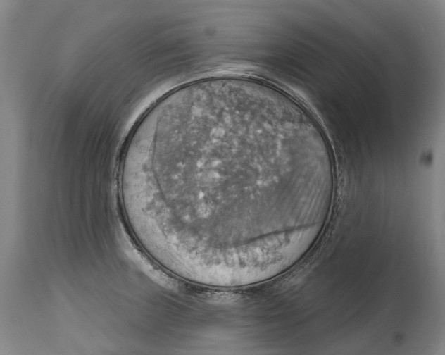 X0000114421235200911131444