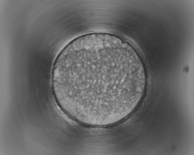 X0000114421236200911131444