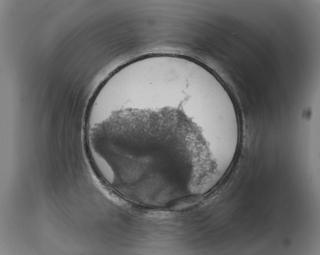 X0000114421237200911131444