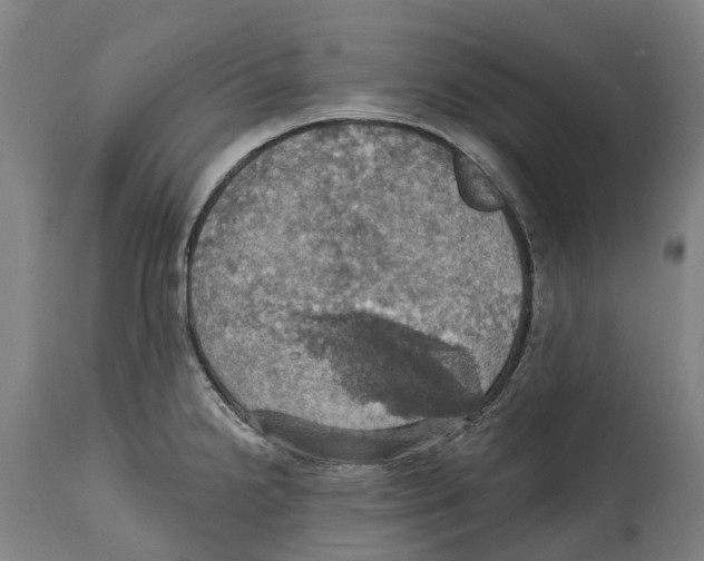 X0000114421238200911131444