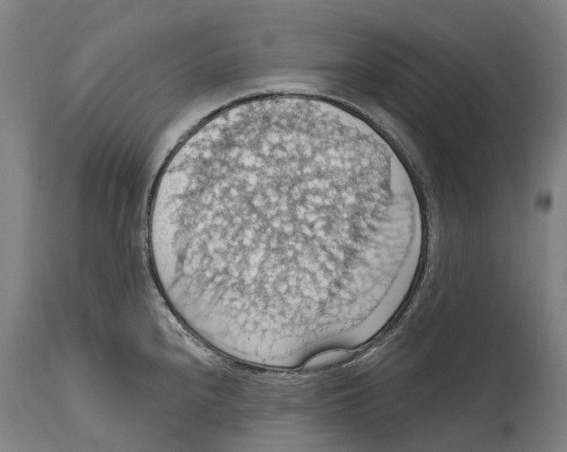 X0000114421240200911131444