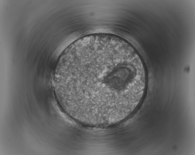 X0000114421241200911131444