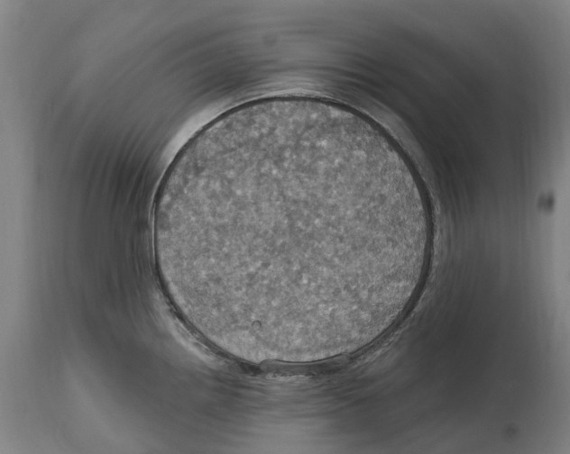 X0000114421242200911131444