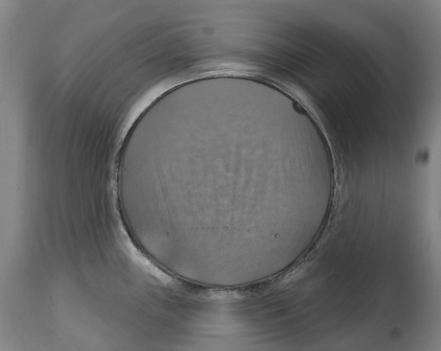 X0000114421243200911131444