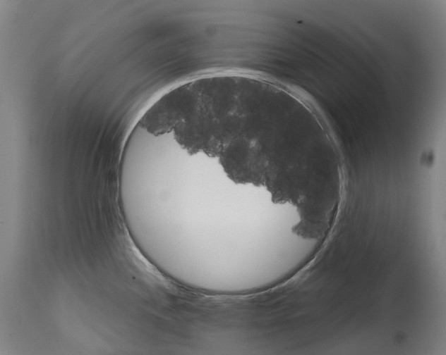 X0000114421244200911131444