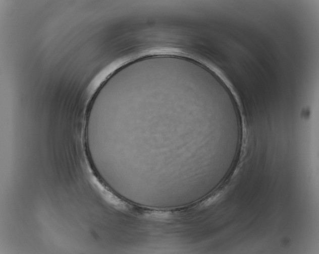 X0000114421245200911131444