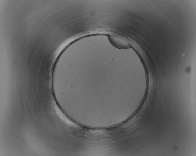 X0000114421246200911131444