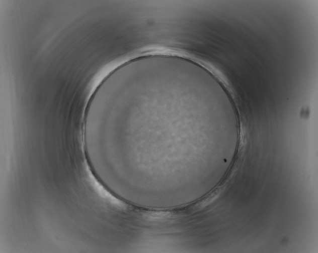 X0000114421247200911131444