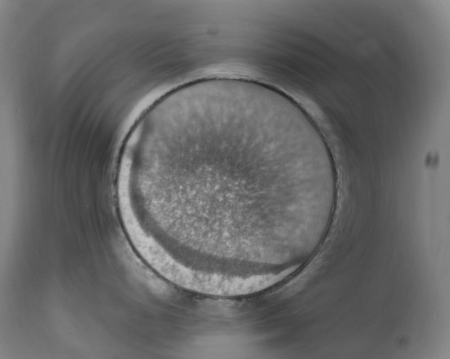 X0000114421248200911131444