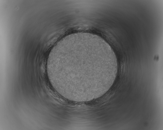 X0000114421250200911131443