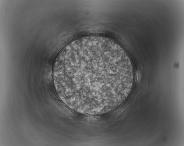 X0000114421251200911131443