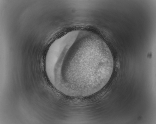 X0000114421252200911131443